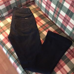 Melissa McCarthy Flare Blue Jeans.